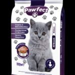Pawfect Kitten