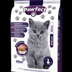 Pawfect Kitten