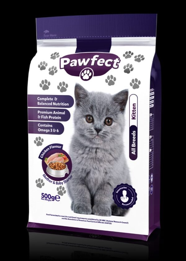 Pawfect Kitten